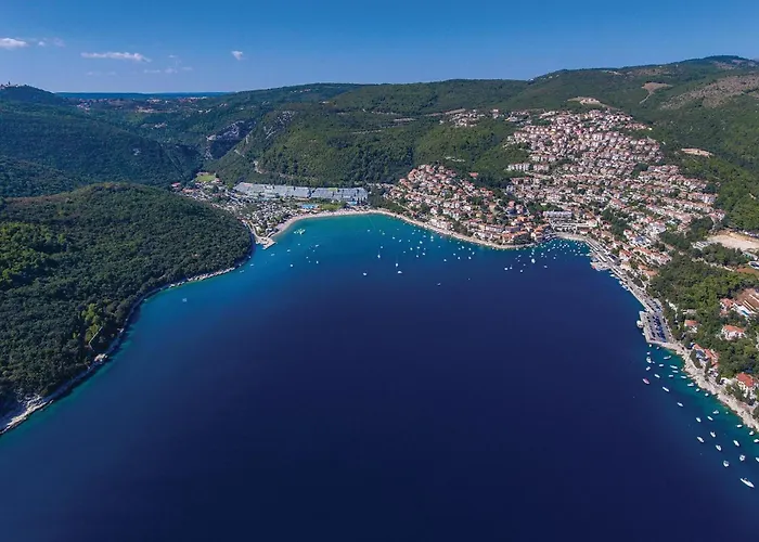 Barisici V *
